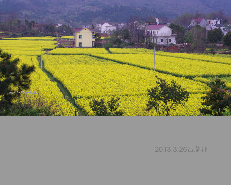 IMGP0246.jpg