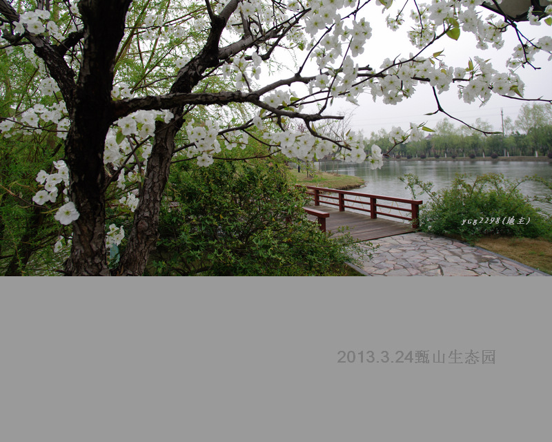 IMGP9943.jpg