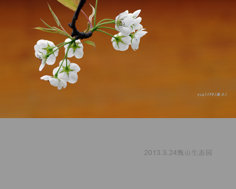 IMGP9958.jpg