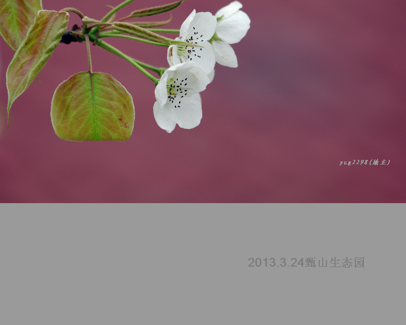 IMGP9968.jpg