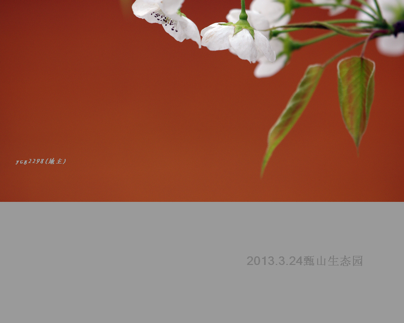 IMGP9970.jpg