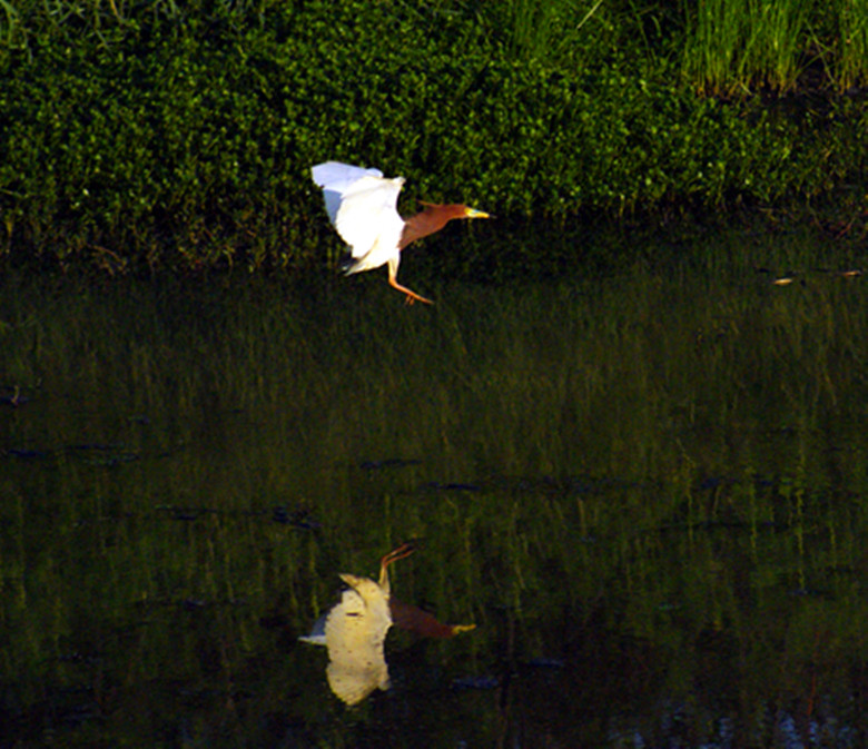 DSC06241_.jpg