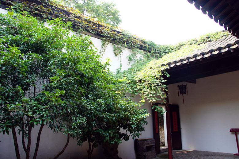 DSC01535_.jpg