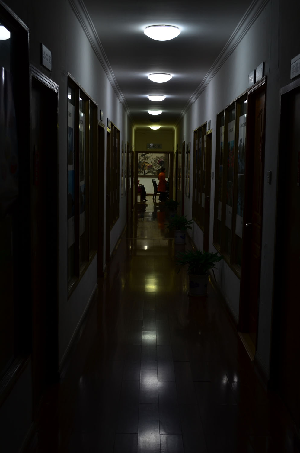 DSC_1408.jpg