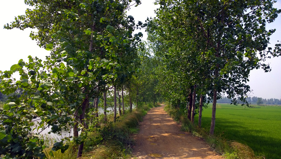 WP_20140802_10_26_57_Pro__highres.jpg