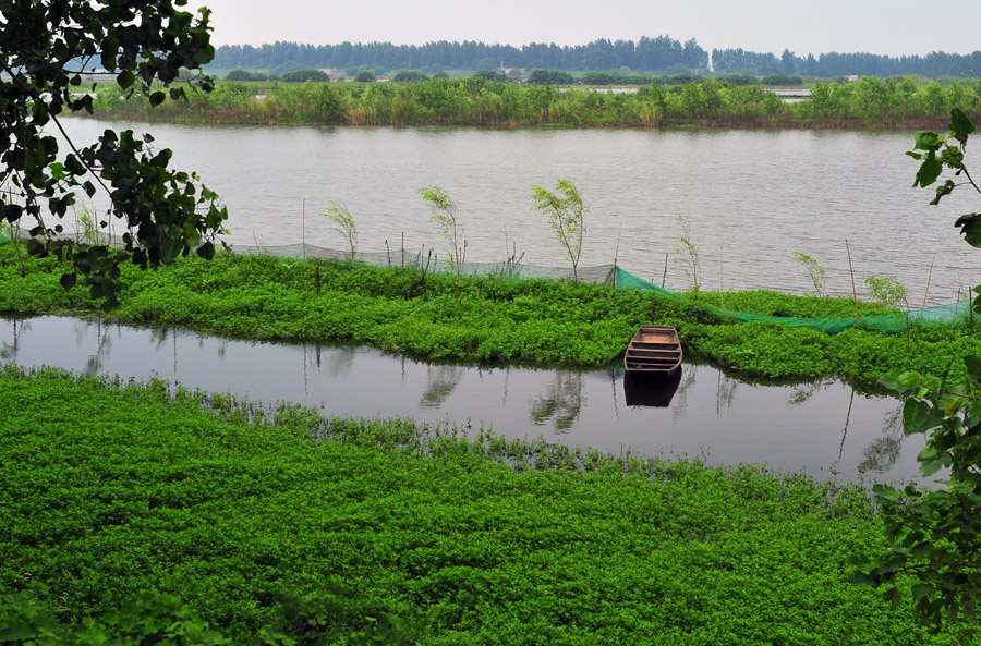LCL_3574.JPG