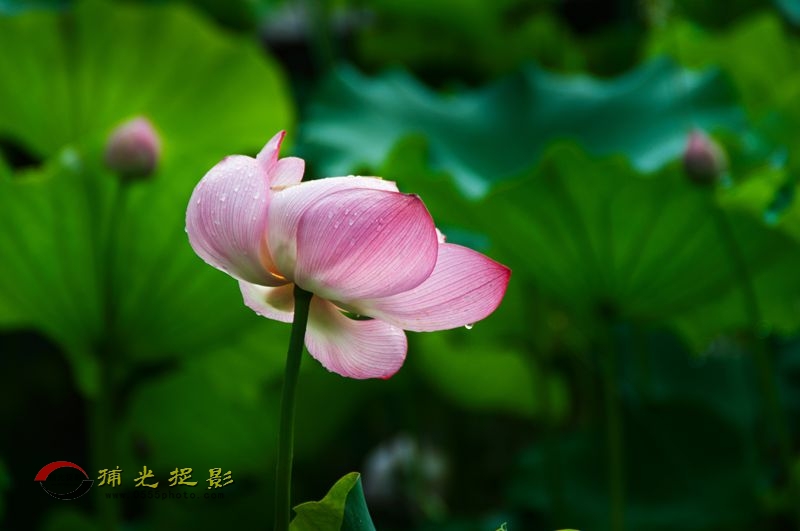 _DSC0010_.jpg