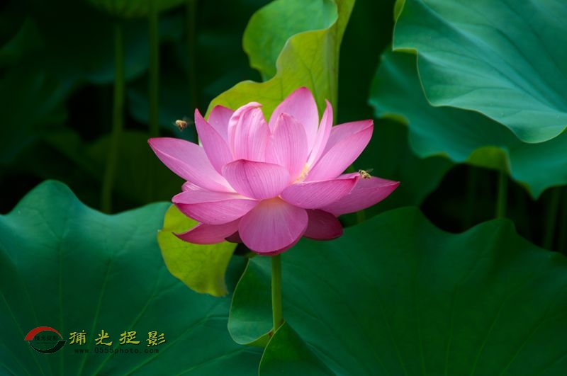 _DSC0205_.jpg