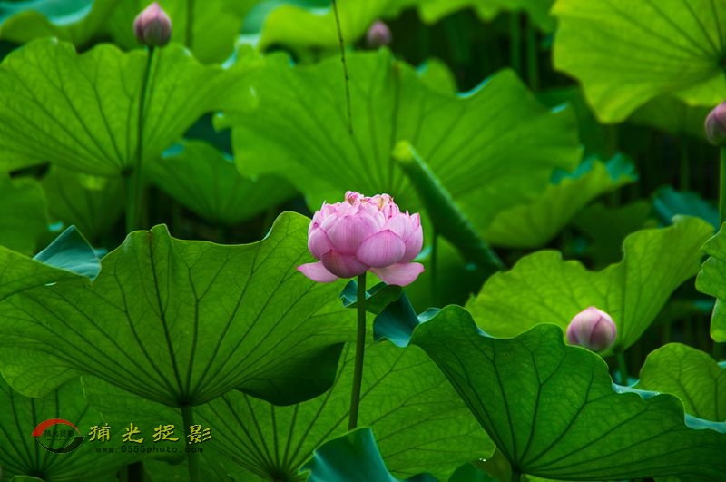 _DSC0159_.jpg