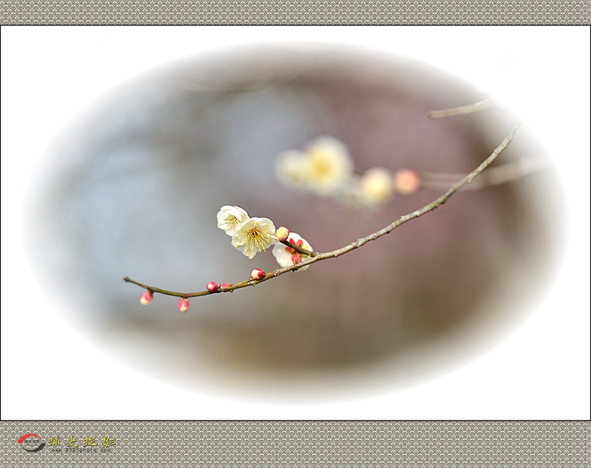 LMD_1132_.jpg