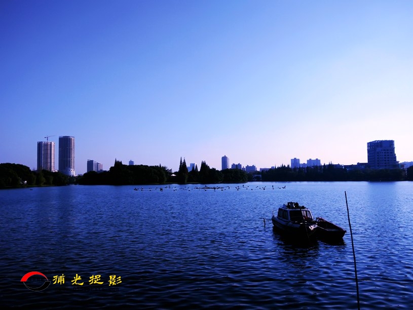 IMG20161103153511_.jpg