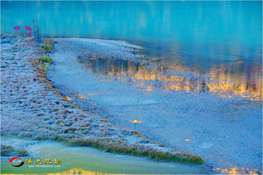 DSC_7915.JPG