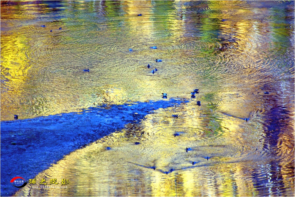 DSC_7918.JPG