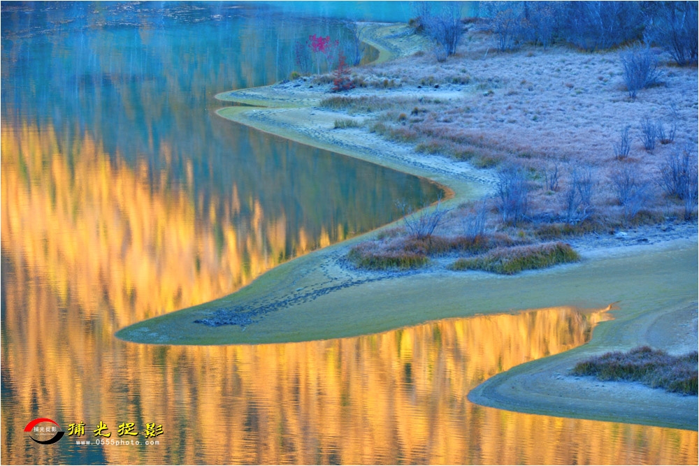 DSC_7891.JPG