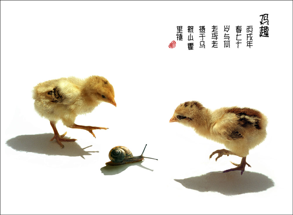 []20066Ʒ