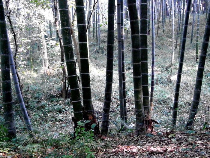 R0011056еӰСƷ.jpg