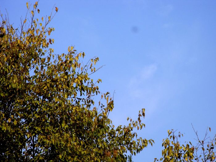 R0011069еӰСƷ.jpg