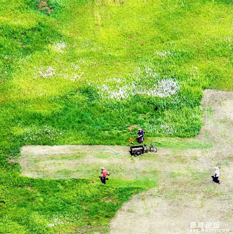 w.jpg